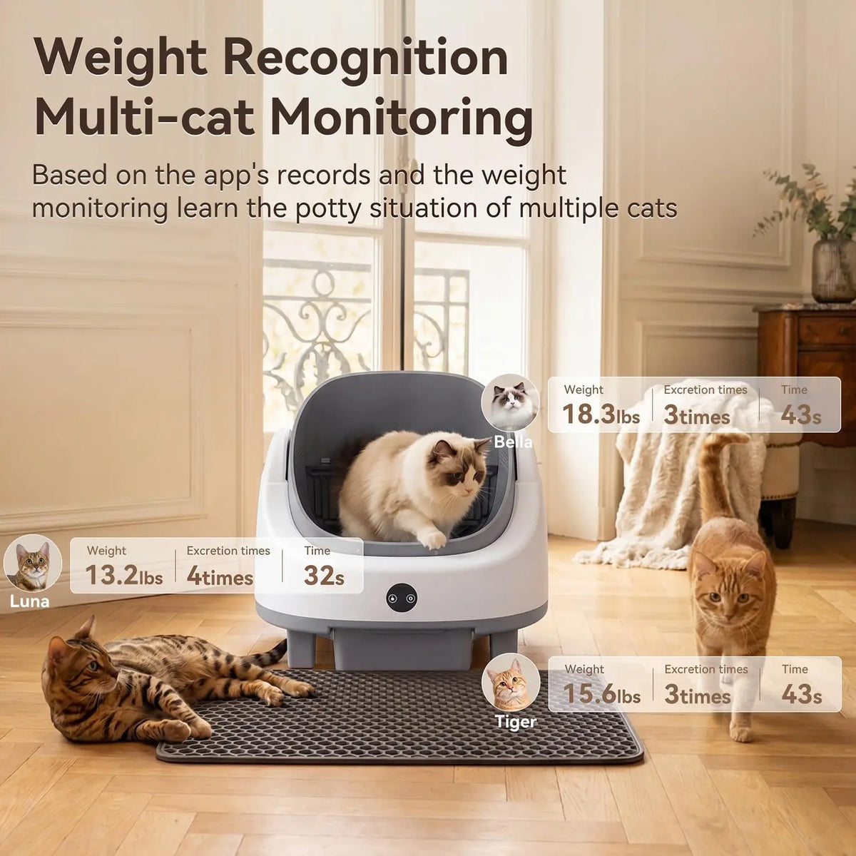 Nordivale Automatic Self Cleaning Cat Litter Box With Odor Control