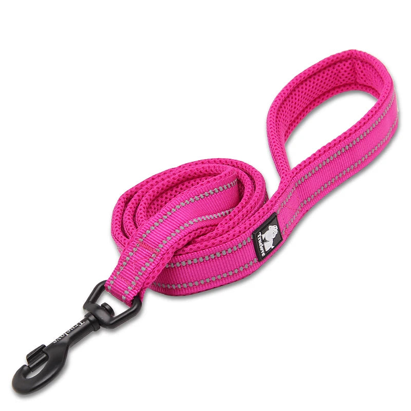 Winhyepet Premium Padded Nylon Dog Leash With Reflective Trim