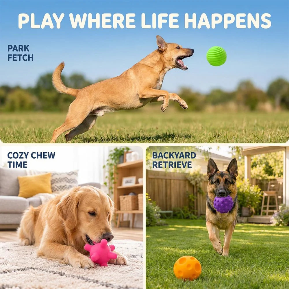 Textured Silicone Pet Chew Toy Balls For Cats And Dogs