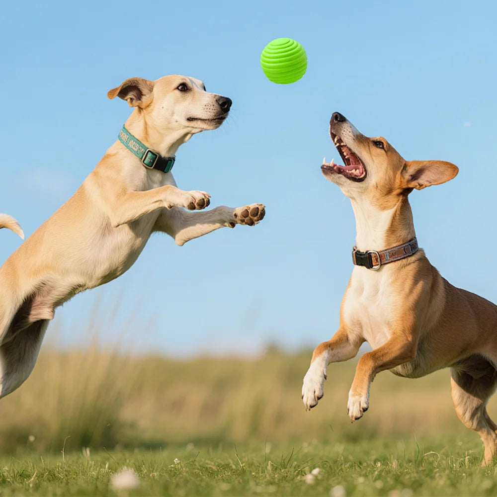 Textured Silicone Pet Chew Toy Balls For Cats And Dogs