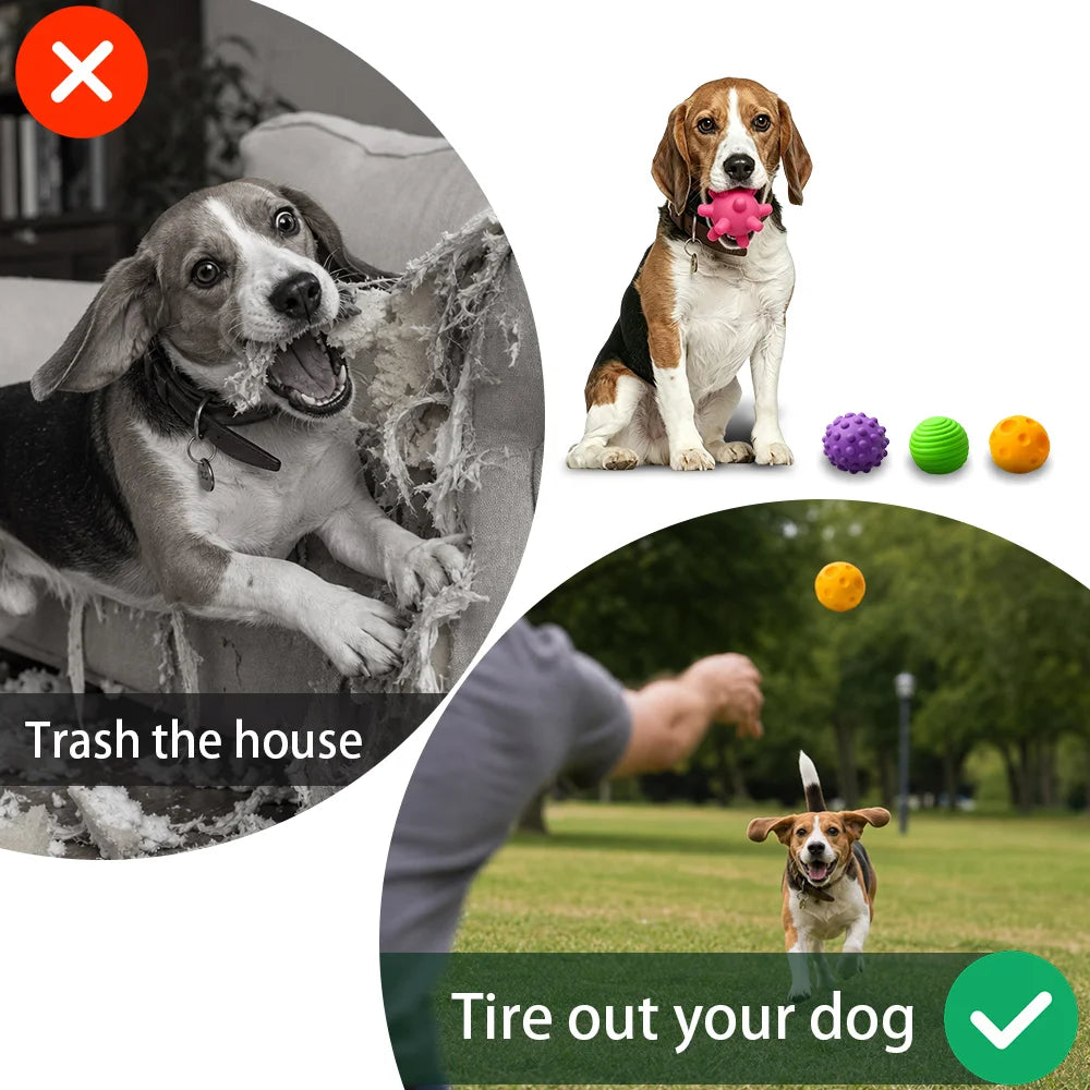 Textured Silicone Pet Chew Toy Balls For Cats And Dogs