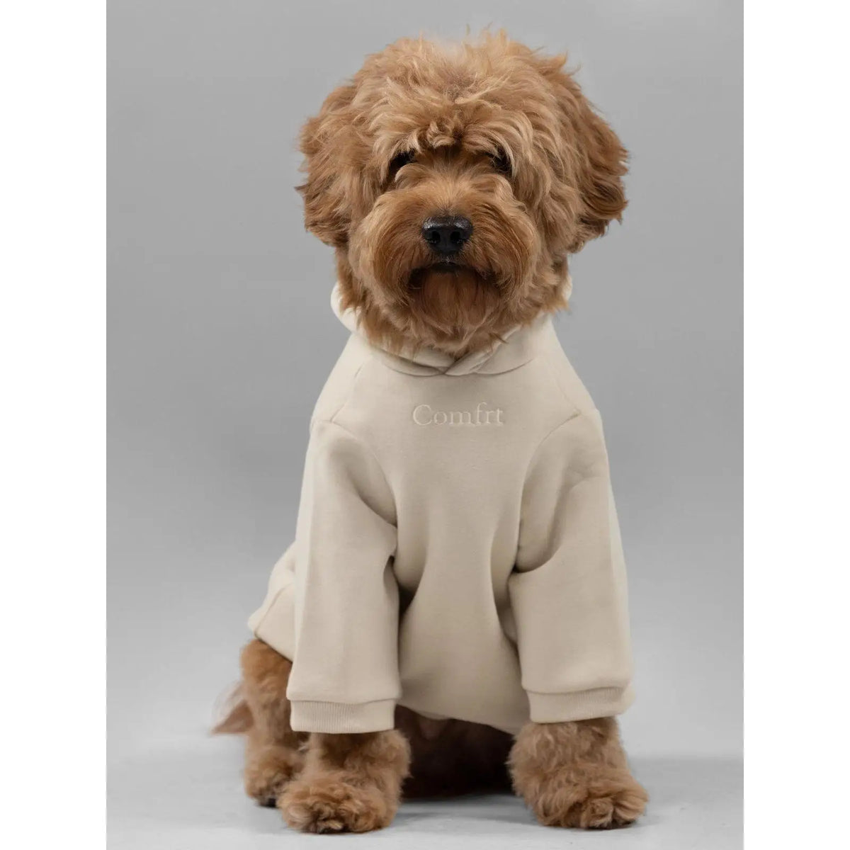 Soft Cotton Blend Pet Dog Hoodie With Leash Opening