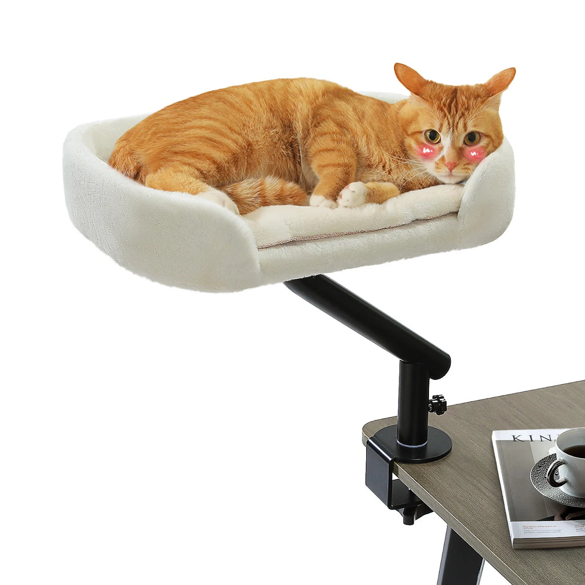 PAWZ Road Premium Adjustable Indoor Cat Desk Bed Stand