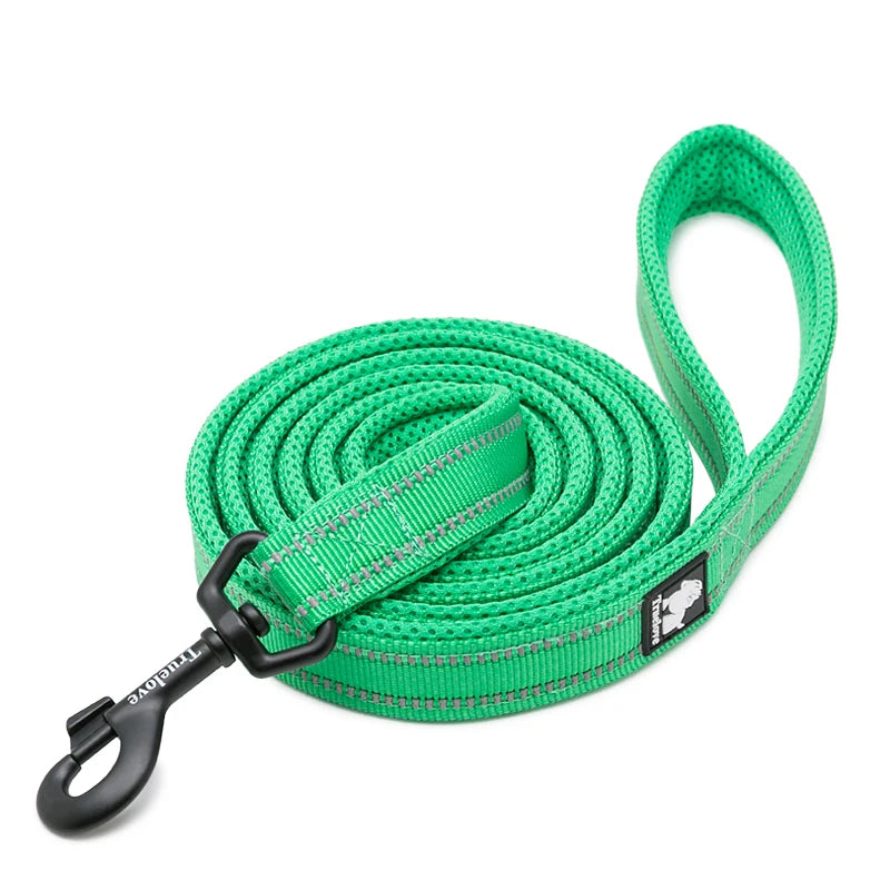 Winhyepet Premium Padded Nylon Dog Leash With Reflective Trim