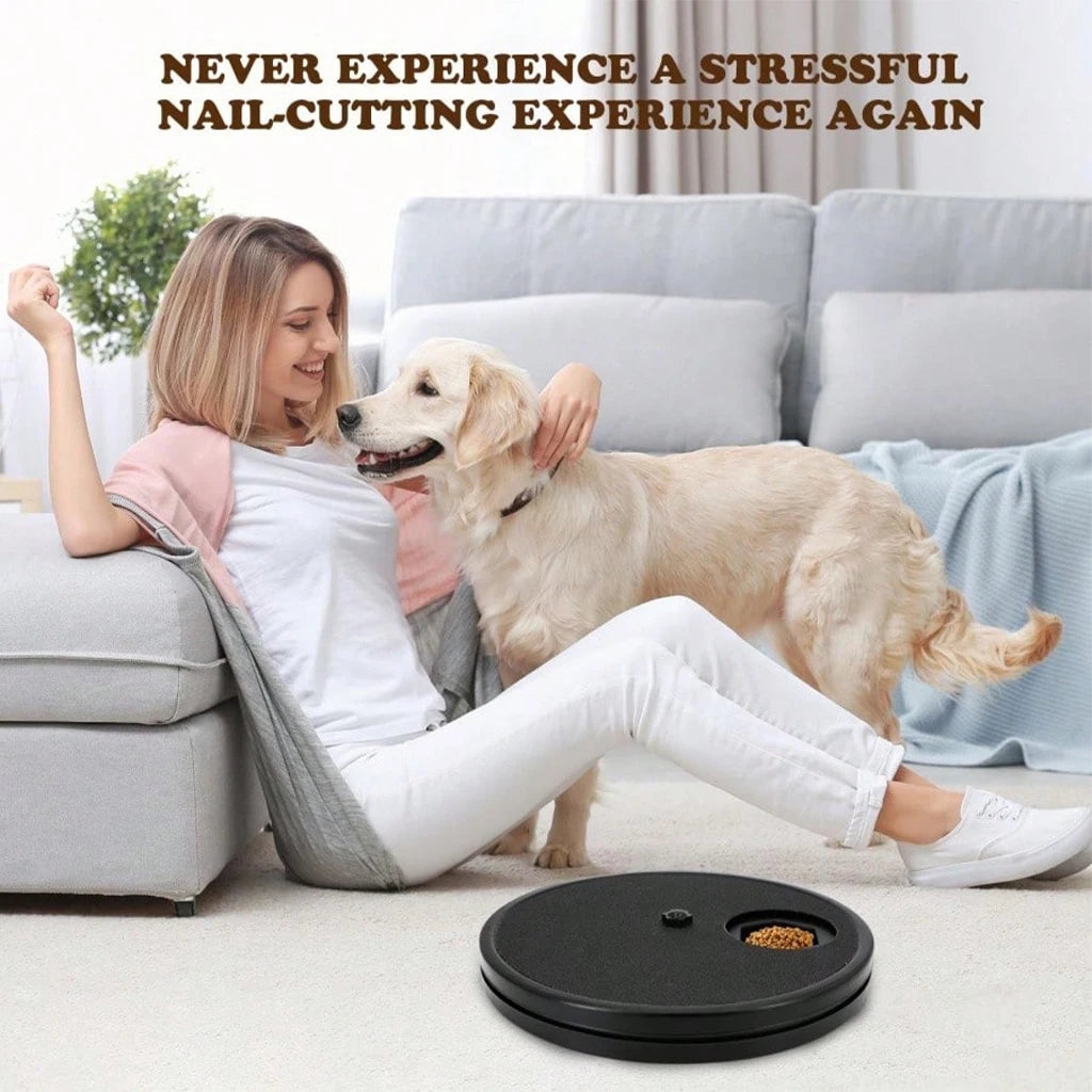 Dog Paw Nail Scratch Board With Food Storage Compartment Tray
