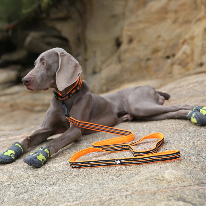 Winhyepet Premium Padded Nylon Dog Leash With Reflective Trim
