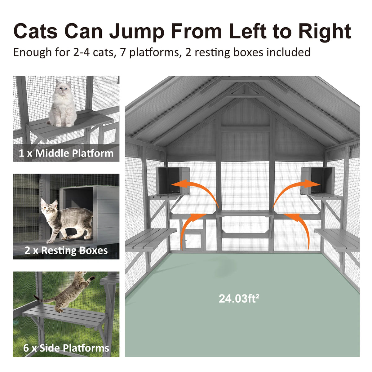 Outdoor Cat Enclosure With Tiered Platforms And Weather Resistant Cover
