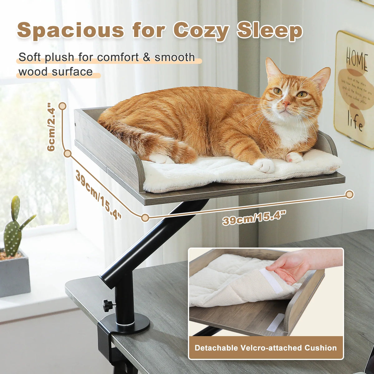 PAWZ Road Premium Adjustable Indoor Cat Desk Bed Stand