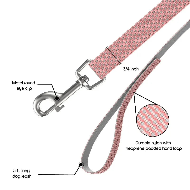 Padded Anti Shock Nylon Dog Leash For Walking Comfort Grip