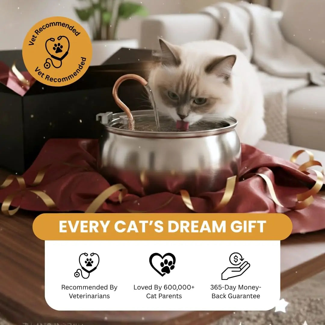 KittySpout Wireless Stainless Steel Cat Pet Drinking Water Fountain