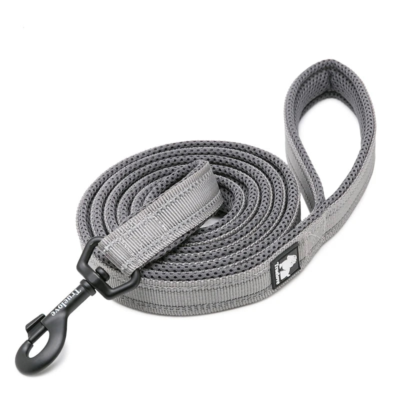 Winhyepet Premium Padded Nylon Dog Leash With Reflective Trim