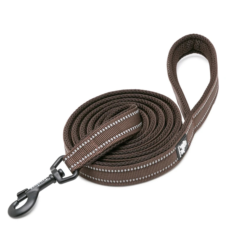Winhyepet Premium Padded Nylon Dog Leash With Reflective Trim