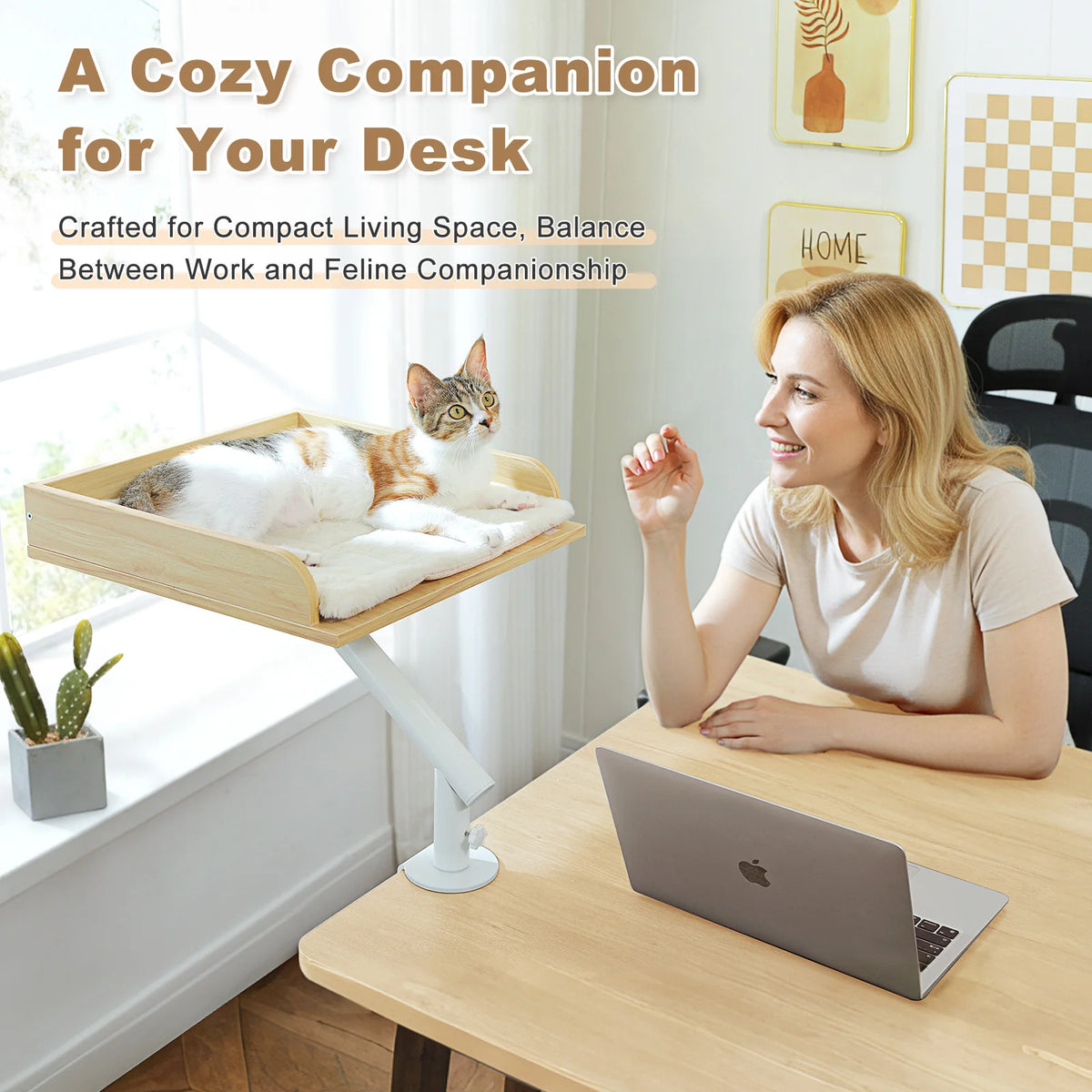 PAWZ Road Premium Adjustable Indoor Cat Desk Bed Stand