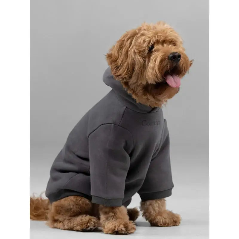 Soft Cotton Blend Pet Dog Hoodie With Leash Opening