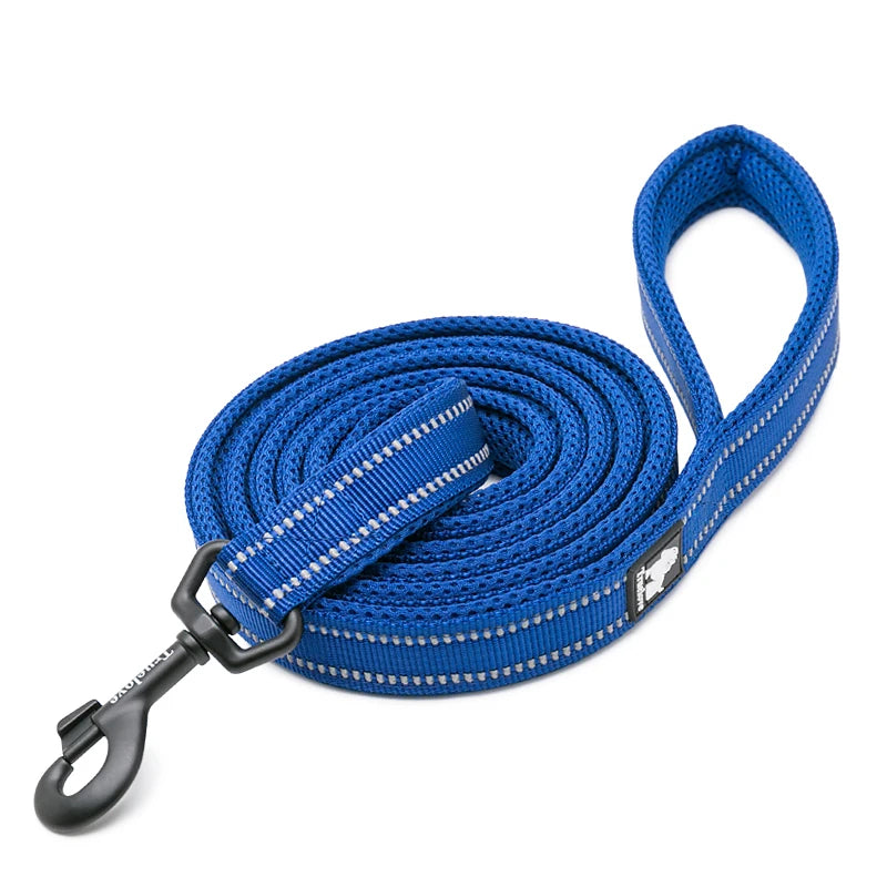 Winhyepet Premium Padded Nylon Dog Leash With Reflective Trim