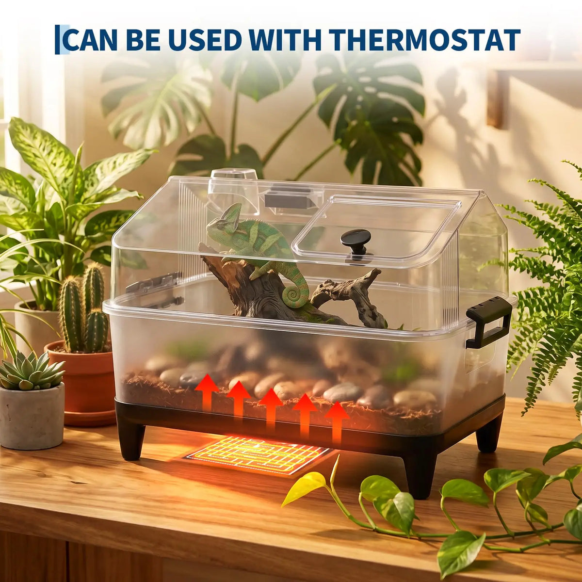 HiMISS Acrylic Reptile Terrarium Kit With Heating Pad