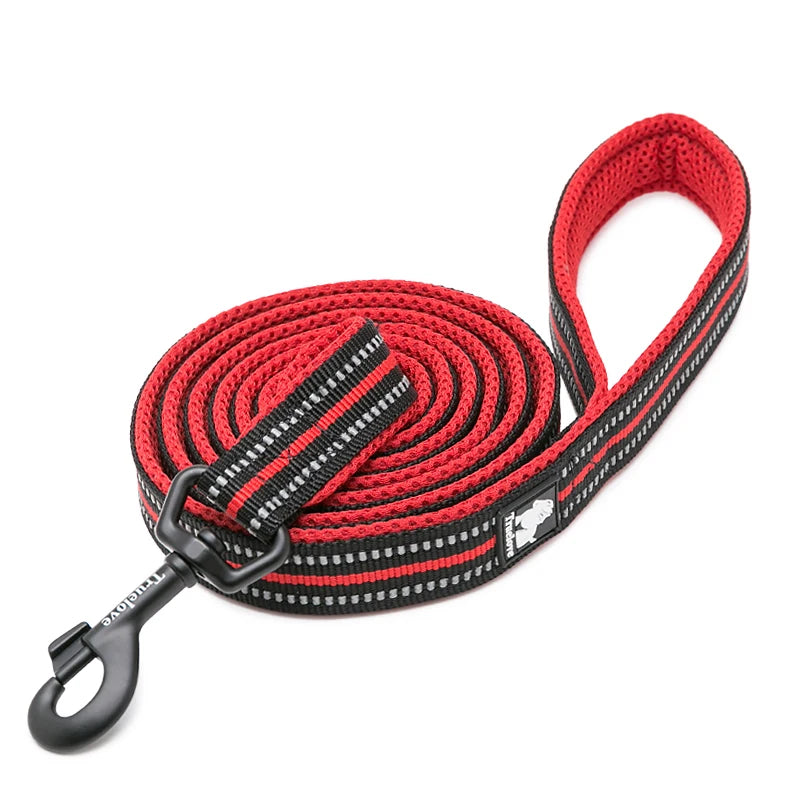 Winhyepet Premium Padded Nylon Dog Leash With Reflective Trim