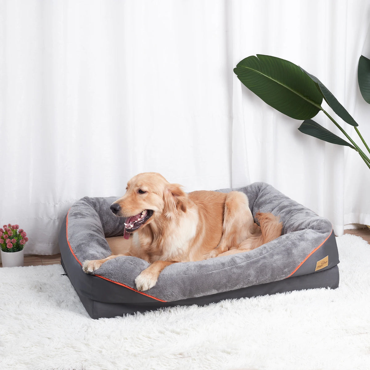Bingopaw Premium Plush Dog Bed With Removable Washable Fleece Cover