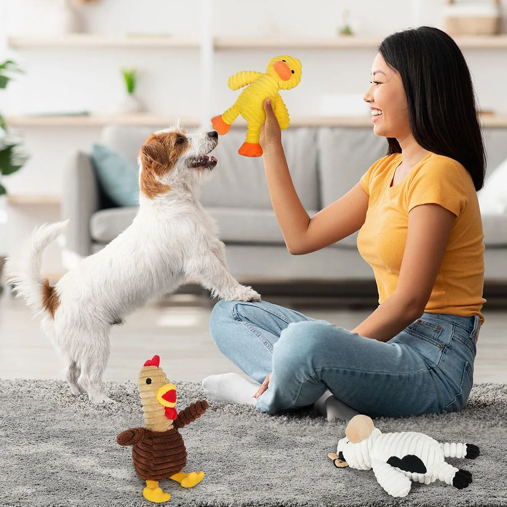 Plush Squeaky Dog Toys Assortment Value Bundle For Pets