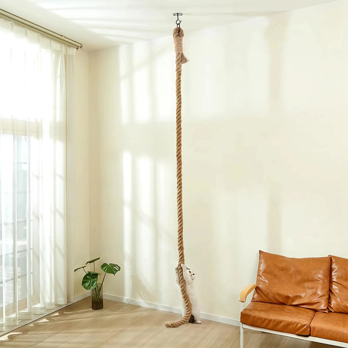 CWV Cat Sisal Climbing Rope Wall Mounted Scratching Post