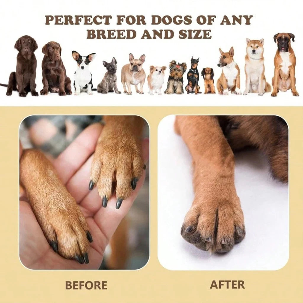 Dog Paw Nail Scratch Board With Food Storage Compartment Tray