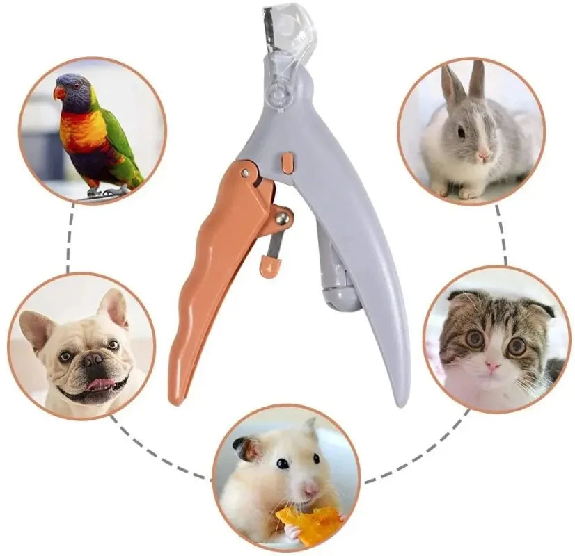 Stainless Steel Led Pet Nail Clipper With Built In Light