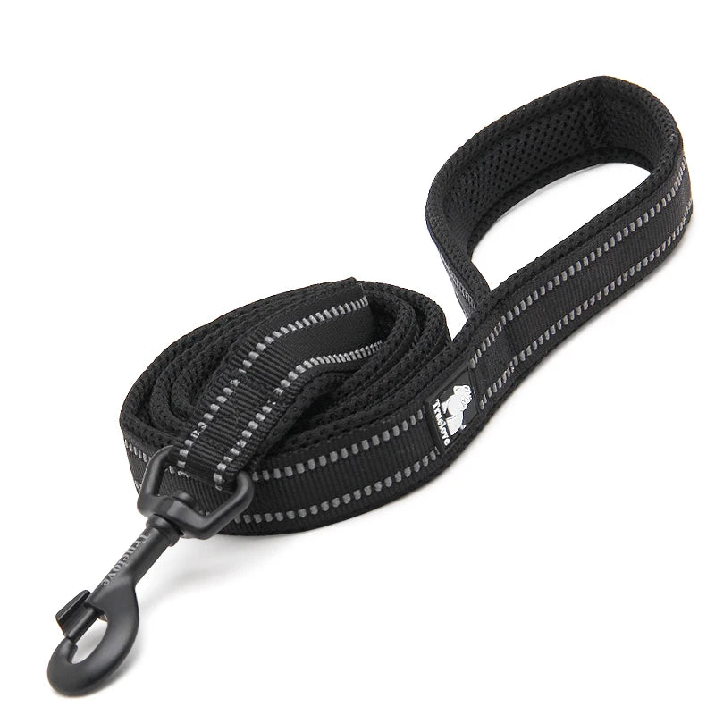 Winhyepet Premium Padded Nylon Dog Leash With Reflective Trim