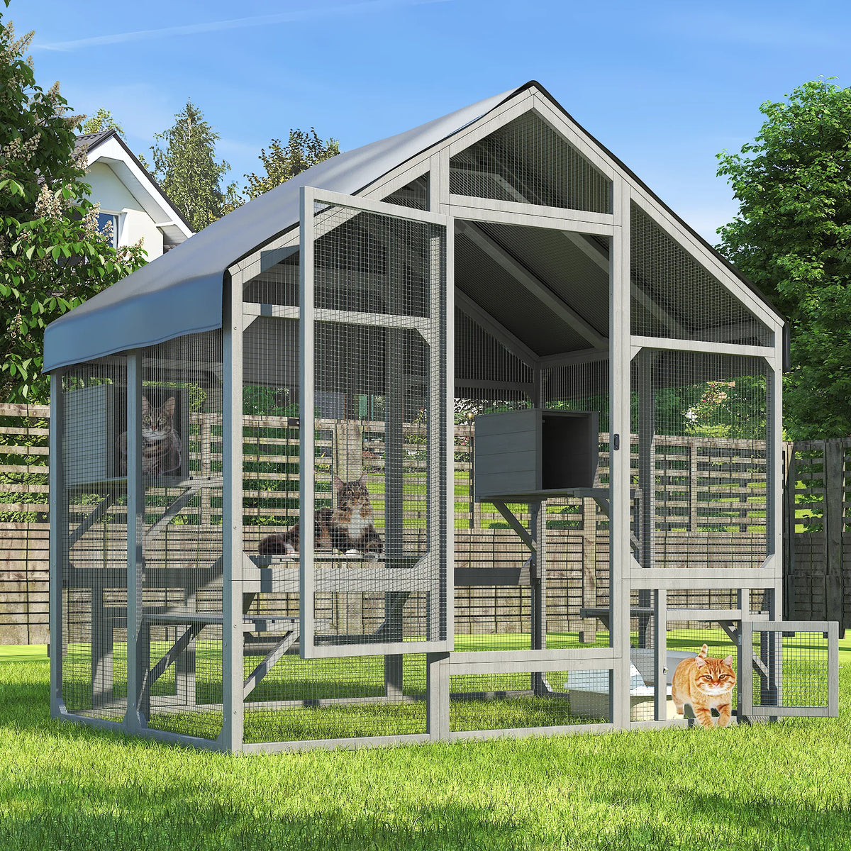 Outdoor Cat Enclosure With Tiered Platforms And Weather Resistant Cover