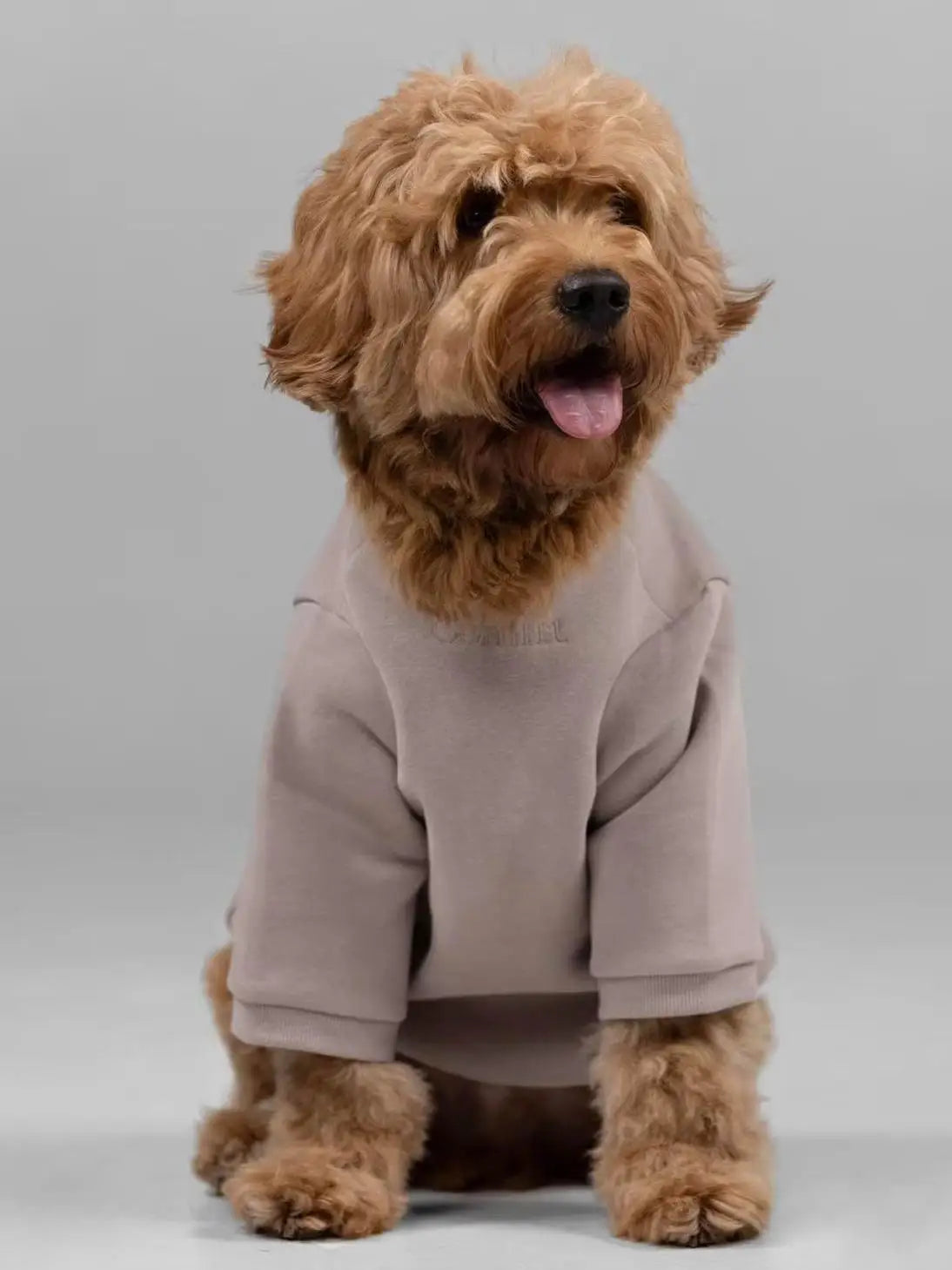 Soft Cotton Blend Pet Dog Hoodie With Leash Opening