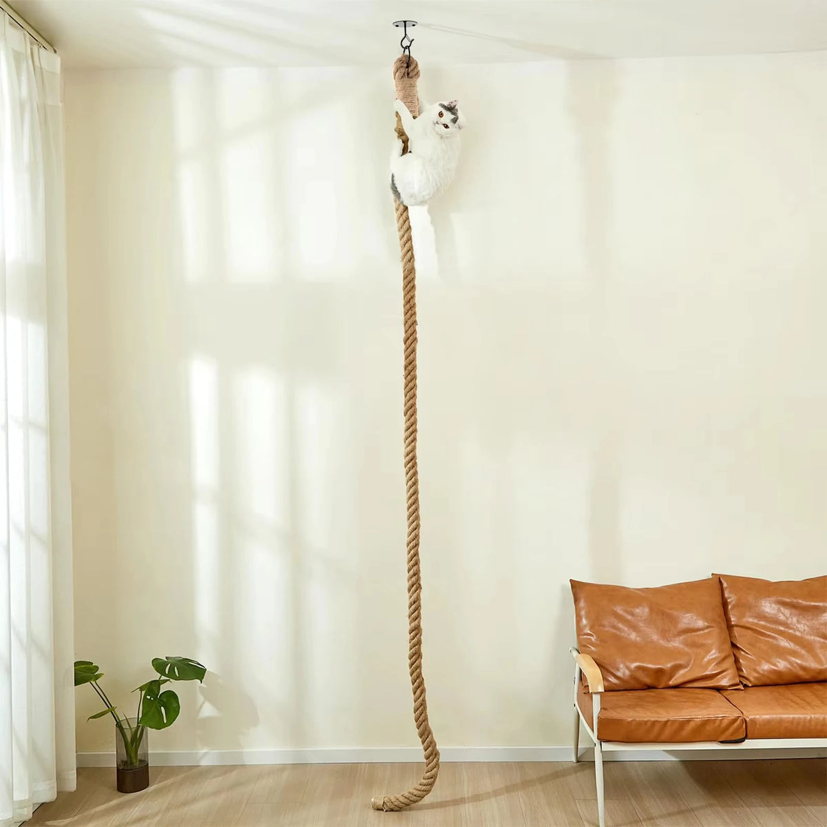 CWV Cat Sisal Climbing Rope Wall Mounted Scratching Post