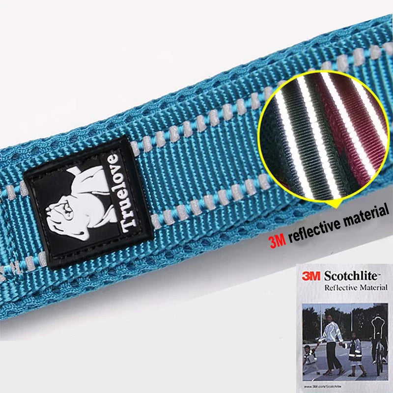 Winhyepet Premium Padded Nylon Dog Leash With Reflective Trim