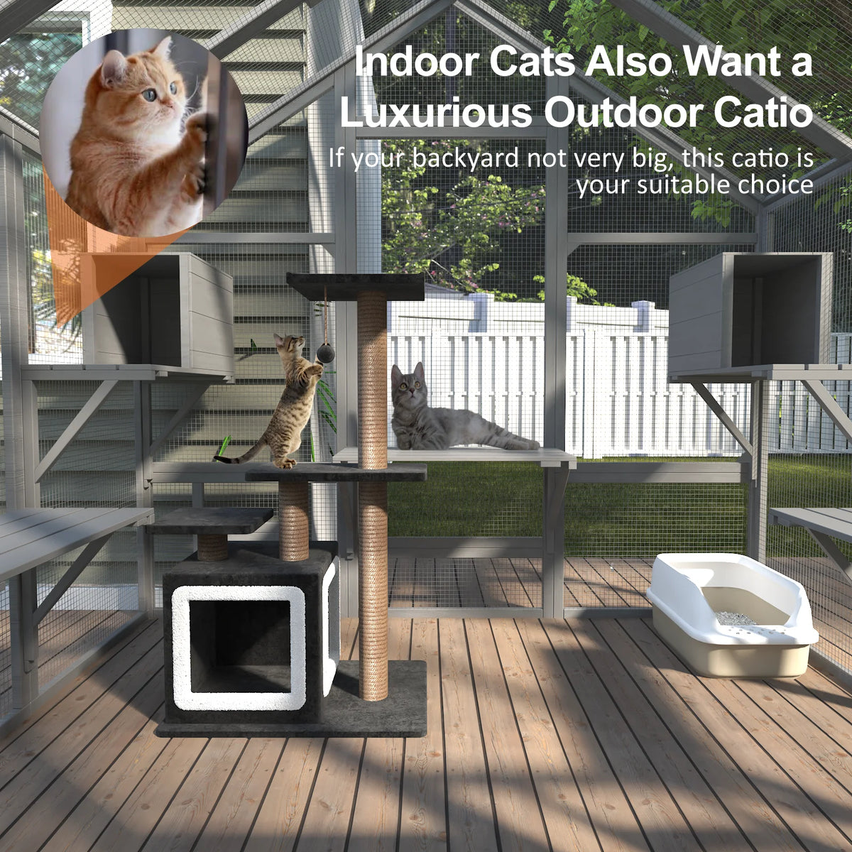 Outdoor Cat Enclosure With Tiered Platforms And Weather Resistant Cover