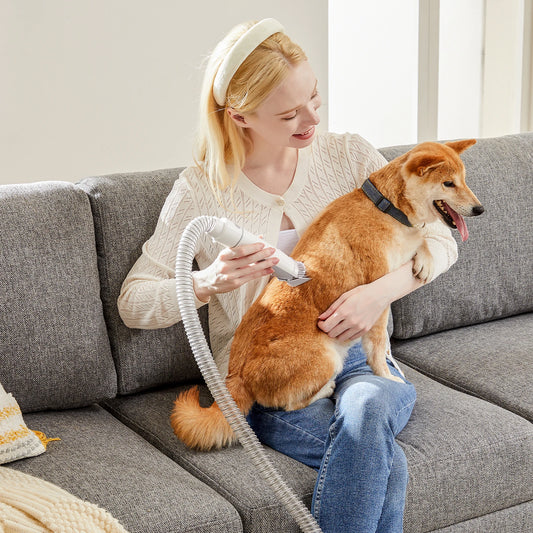 Professional Cordless Pet Grooming Vacuum Kit With Trimmer Accessories