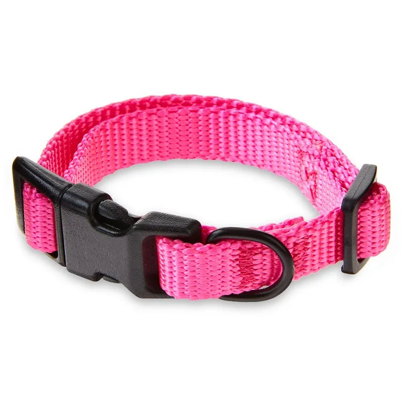 Adjustable Polyester Dog Collar And Leash Walking Set