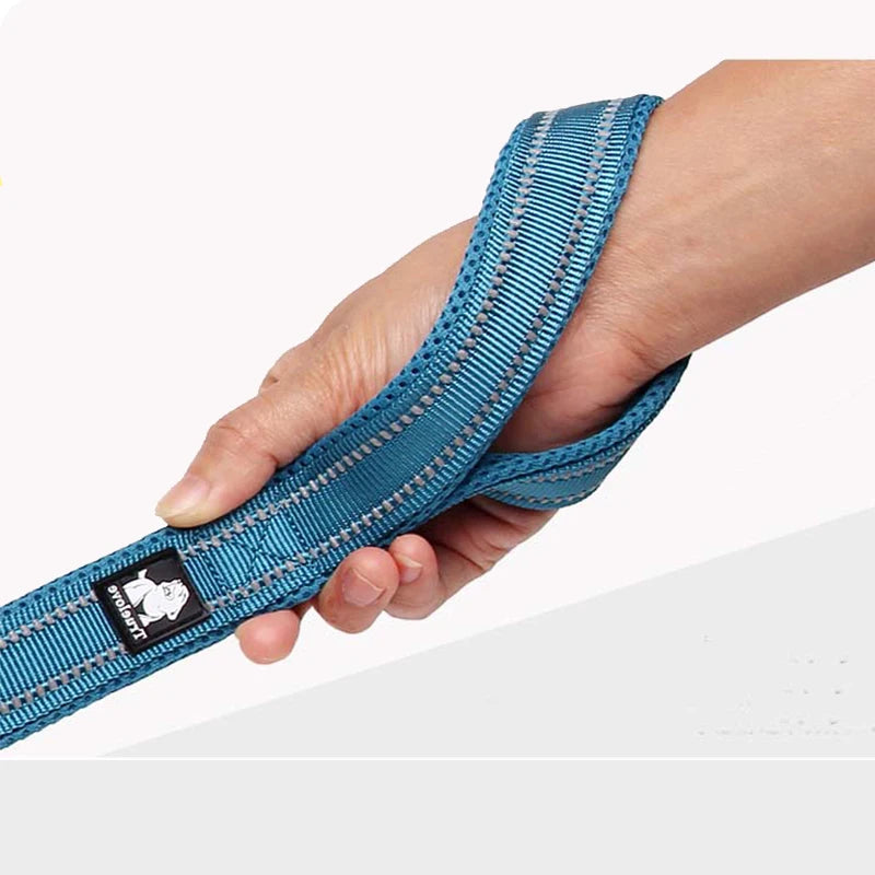 Winhyepet Premium Padded Nylon Dog Leash With Reflective Trim