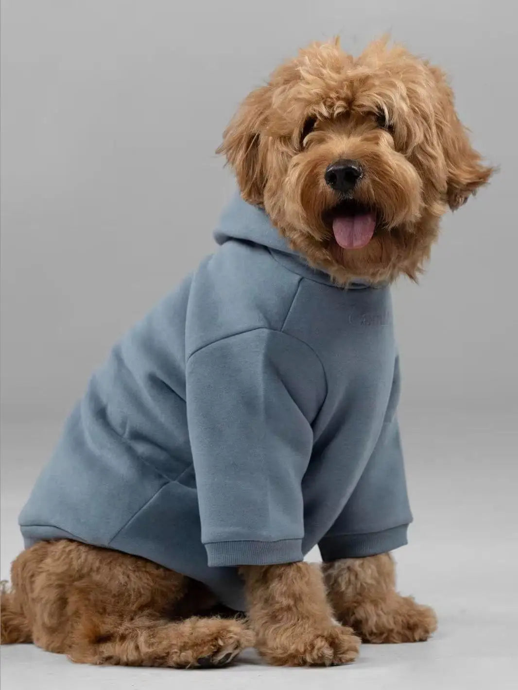 Soft Cotton Blend Pet Dog Hoodie With Leash Opening