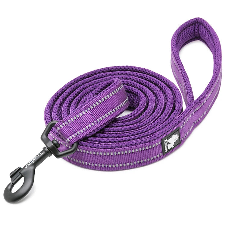 Winhyepet Premium Padded Nylon Dog Leash With Reflective Trim