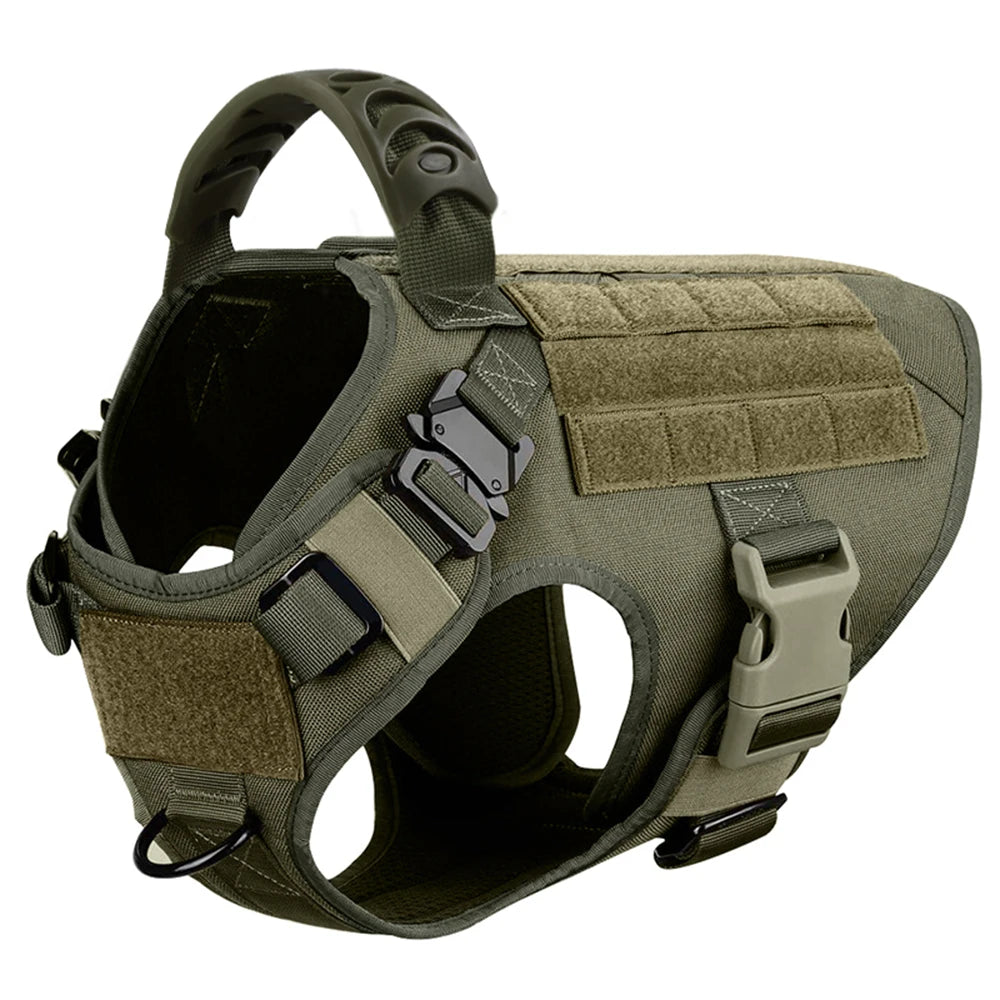 PETRAVEL Padded Nylon Dog Harness With Adjustable Leash Set