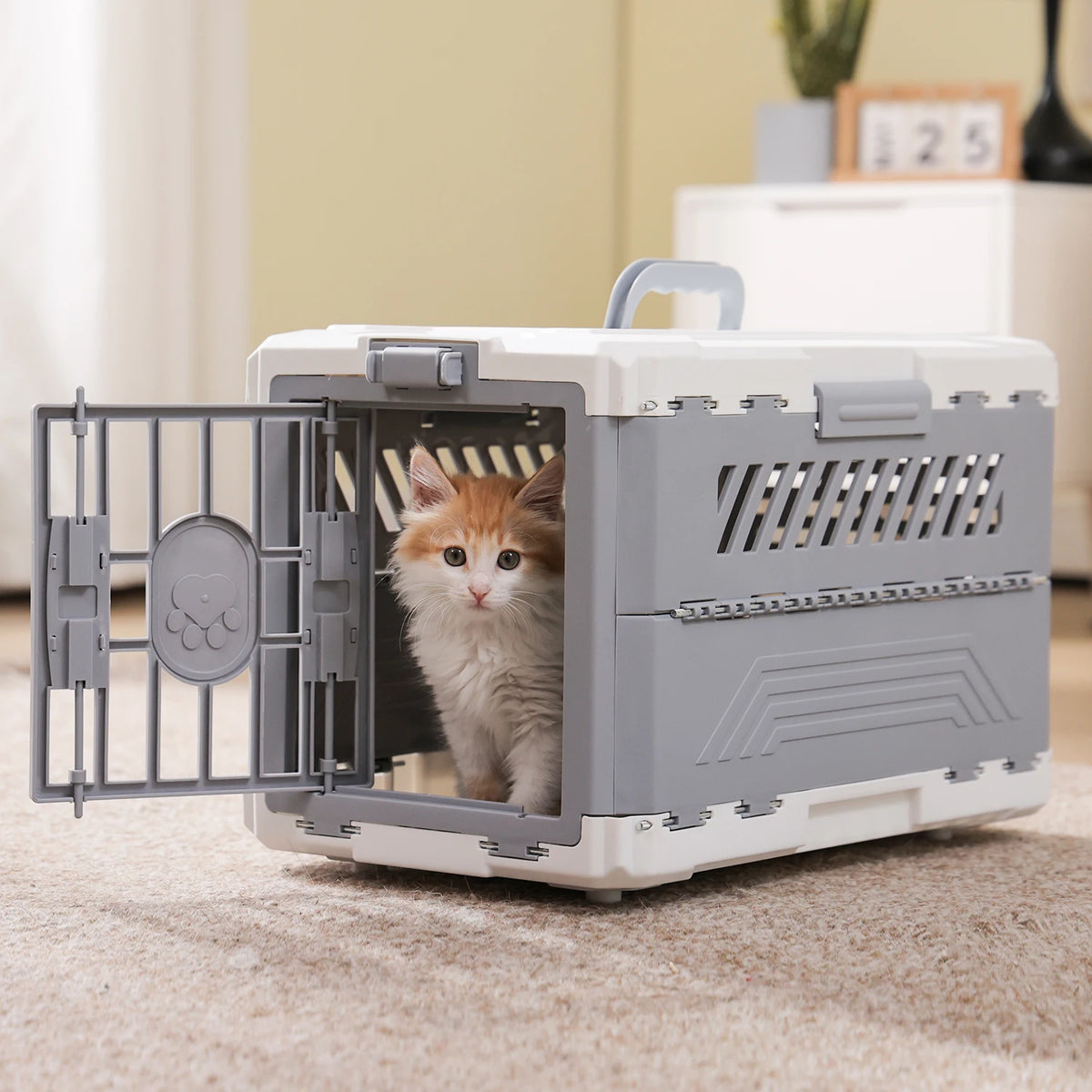 PAWZ Road Foldable Pet Carrier Collapsible Cat Dog Travel Crate