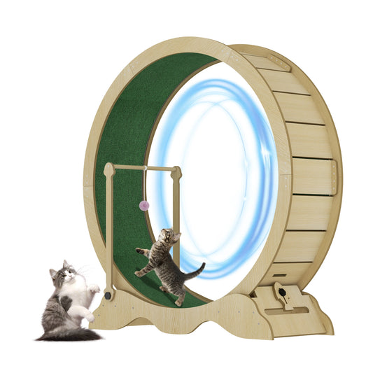 Quiet Wooden Cat Exercise Wheel For Indoor Fitness And Wellness