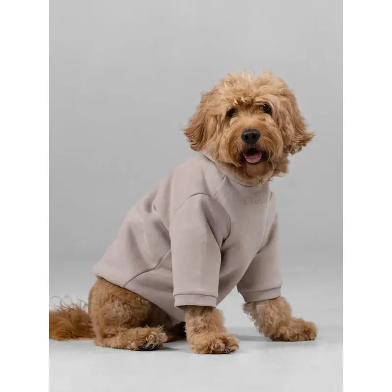 Soft Cotton Blend Pet Dog Hoodie With Leash Opening