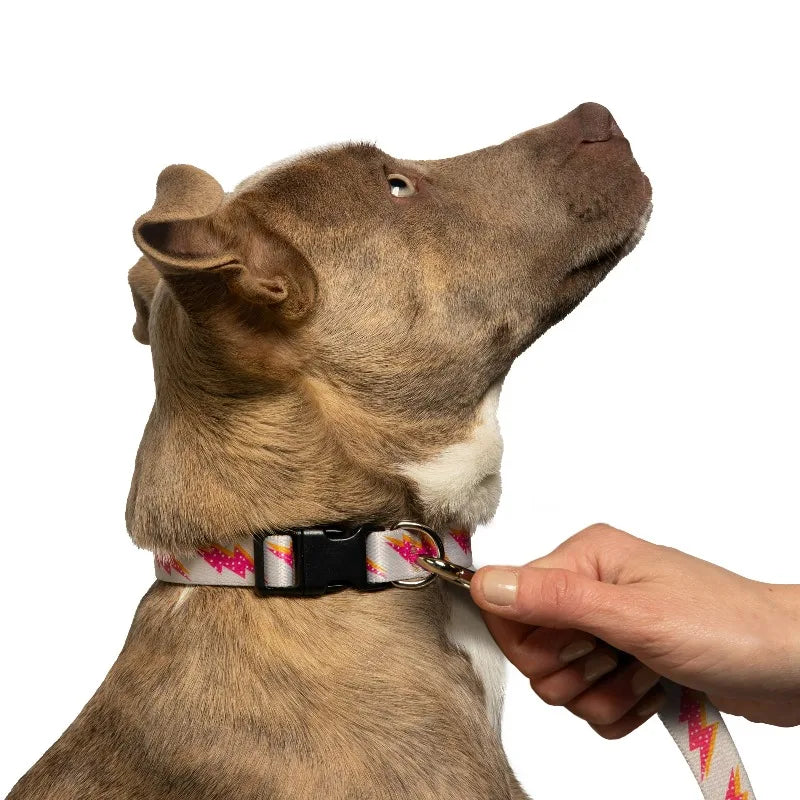 Reliable Polyester Lightning Bolt Dog Leash For Daily Walks