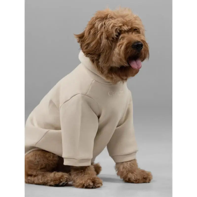 Soft Cotton Blend Pet Dog Hoodie With Leash Opening