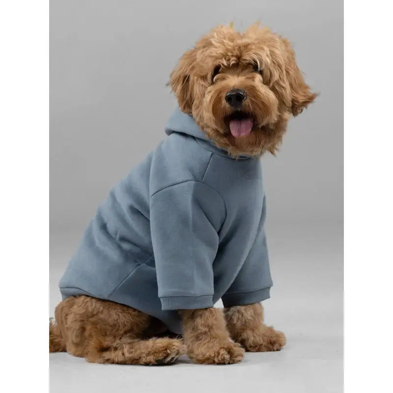 Soft Cotton Blend Pet Dog Hoodie With Leash Opening