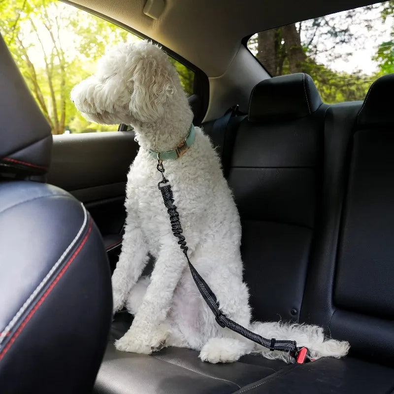 Adjustable Nylon Pet Seatbelt With Rotating Harness Clip