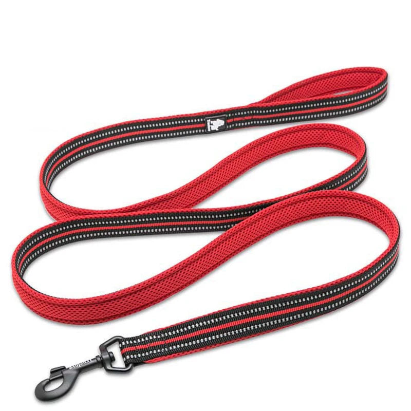 Winhyepet Premium Padded Nylon Dog Leash With Reflective Trim