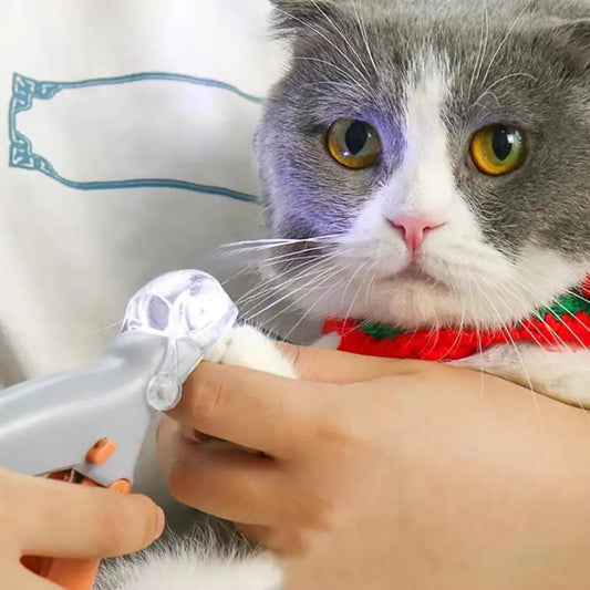 Stainless Steel LED Pet Nail Clippers for Safe Dog Grooming