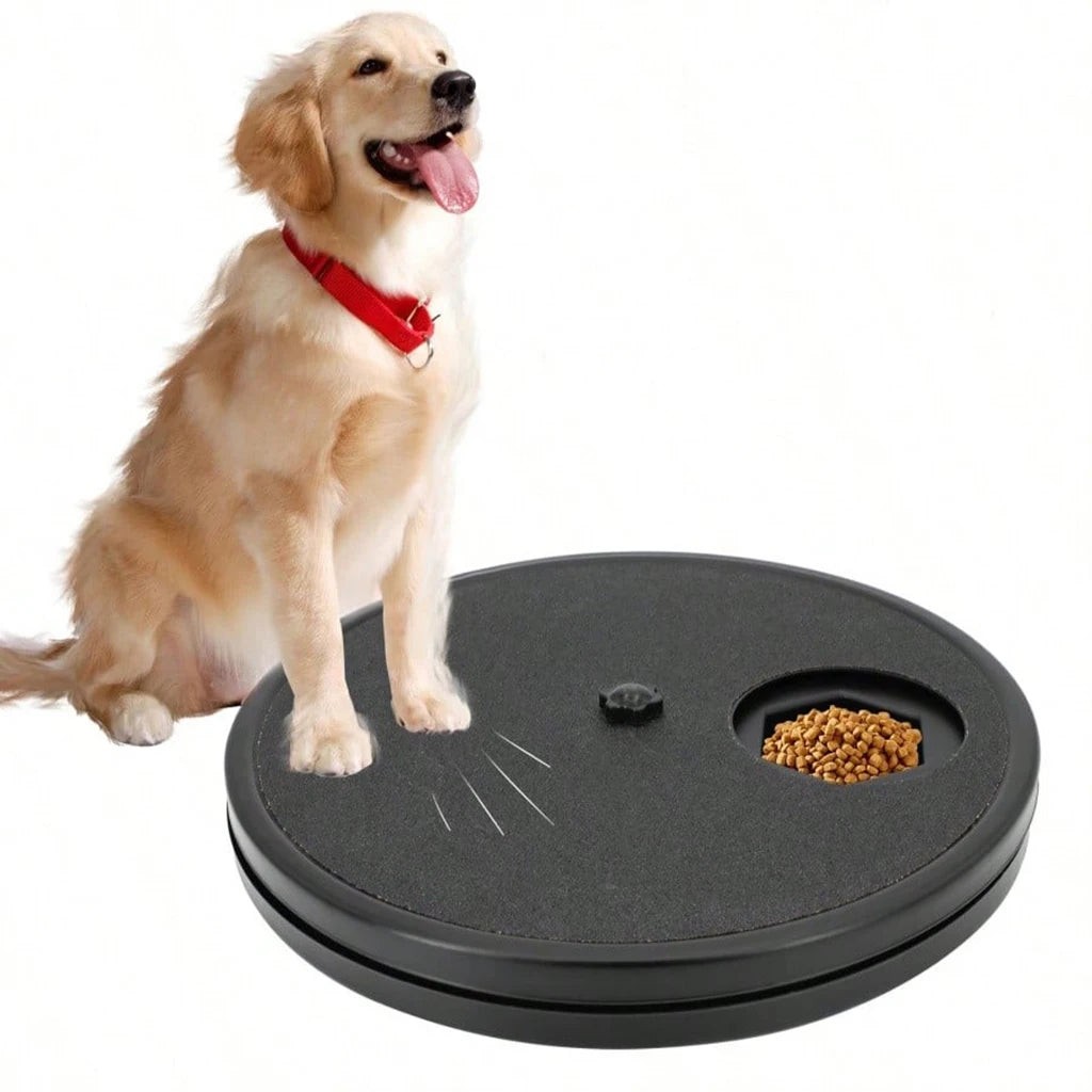 Dog Paw Nail Scratch Board With Food Storage Compartment Tray
