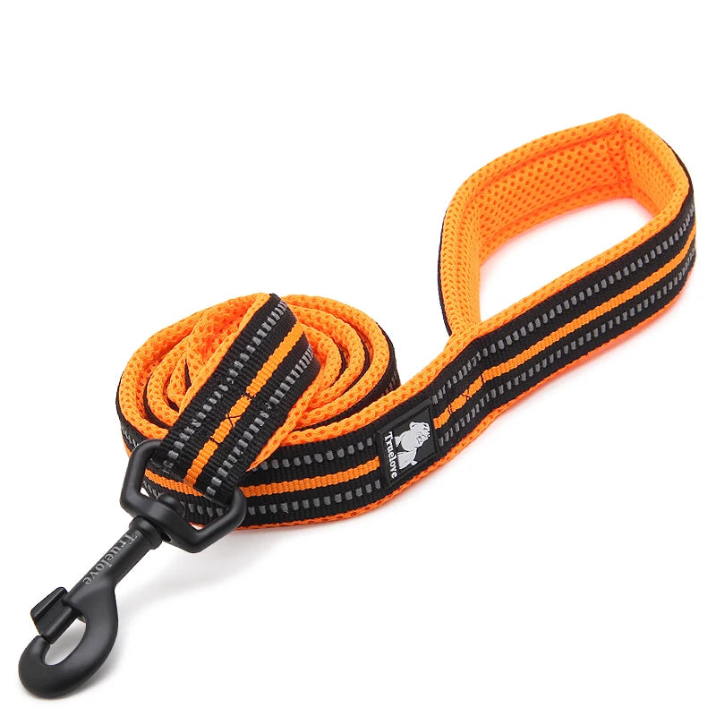 Winhyepet Premium Padded Nylon Dog Leash With Reflective Trim