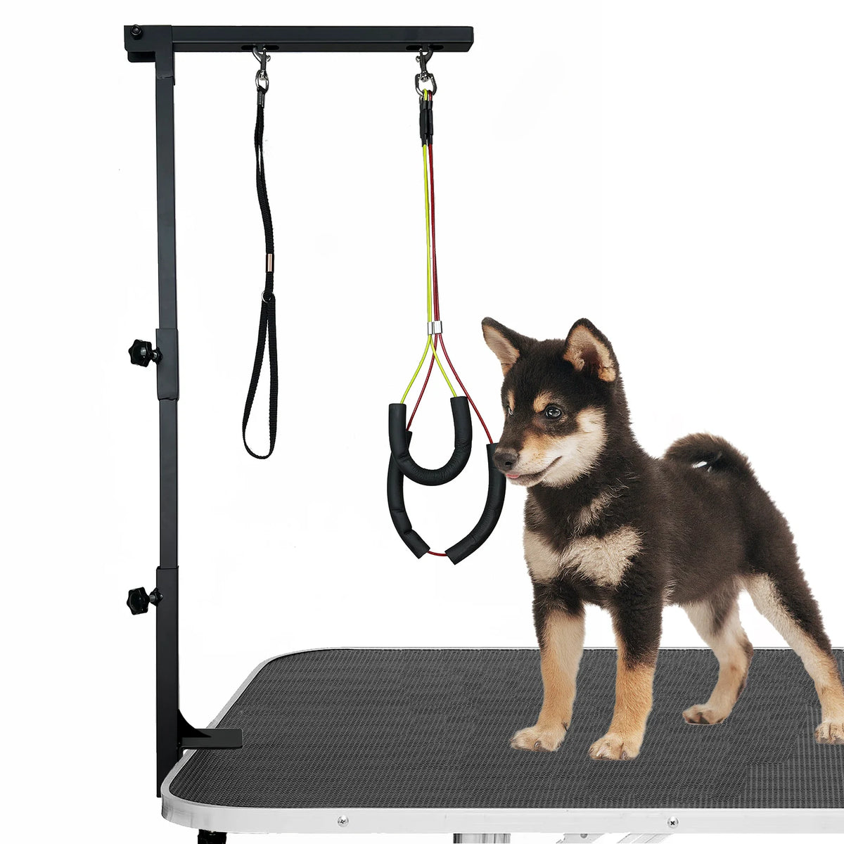 Height Adjustable Dog Grooming Arm With Dual Haunch Holders
